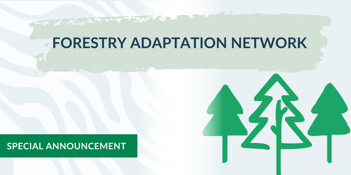 Unveiling the New Forestry Adaptation Network